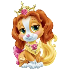 a pretty princess dog